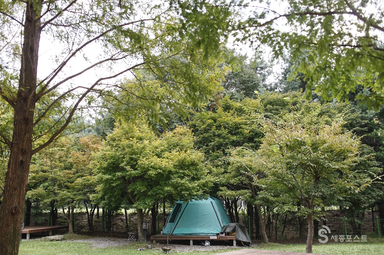 금강 자연휴양림 야영장은 풍부한 숲 아래 바로 텐트를 칠 수 있어 자연과 피부 가까이 하루를 보낼 수 있는 장점이 있다.&nbsp;
