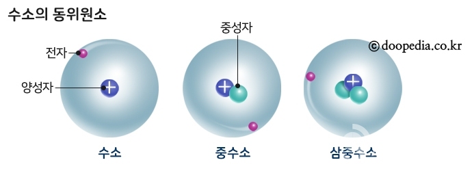 수소의 동위원소 설명. 왼쪽은 수소차 연료로 사용되는 일중수소, 가운데와 오른쪽은 1억도의 온도와 결합시 대폭발을 일으키는 각각 이중수소와 삼중수소.(발췌=네이버 두산백과)