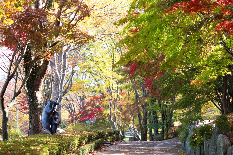 세종시의 가을 역시도 풍성하다. 사진은 전동면 베어트리파크 단풍낙엽산책길.&nbsp;